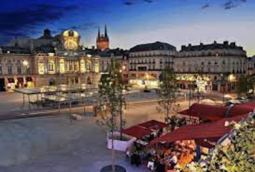 T1 Bis Cosy Et Spacieux - Wifi - Parking Gratuit Angers Exterior foto